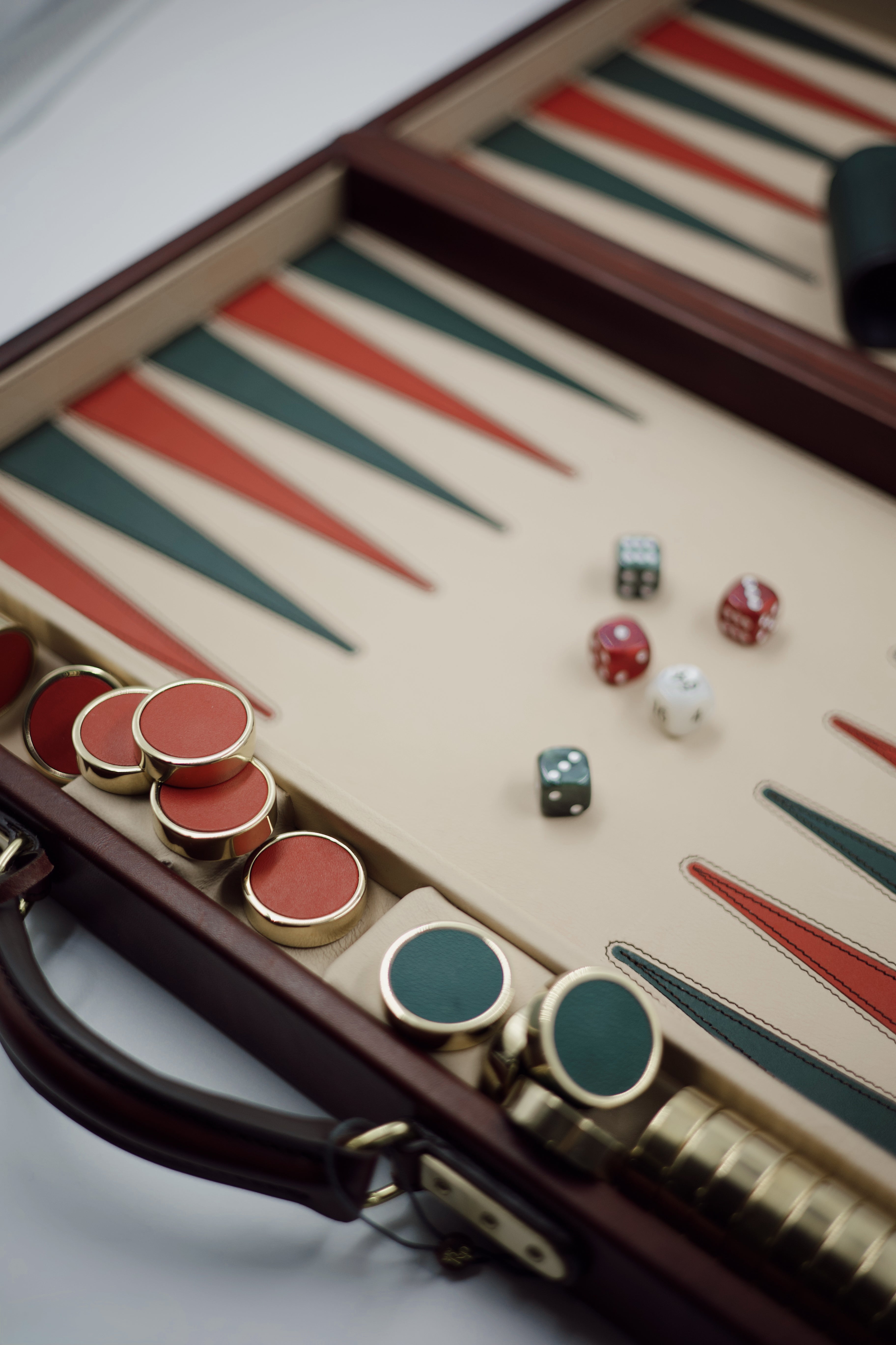 BACKGAMMON CASE