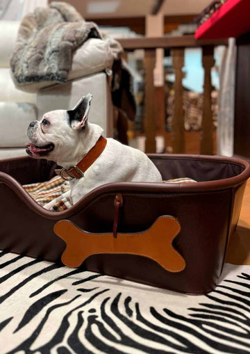 CAMA DE PERRO